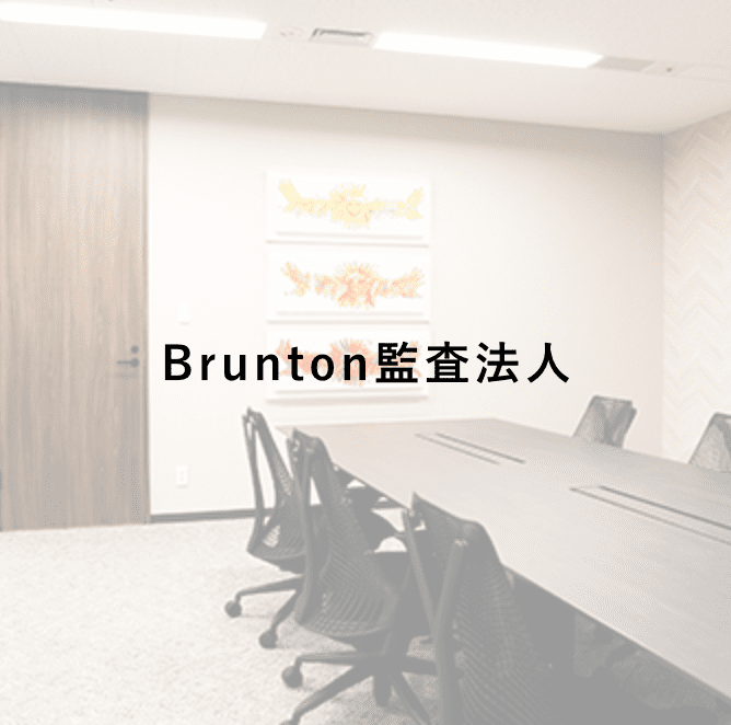 Brunton監査法⼈詳細ページへ